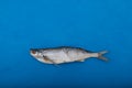 Salty dry fish. Sabrefish Pelecus cultratus - popular beer appetizer in Russia Royalty Free Stock Photo