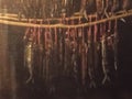 Fish drying in a market on an island off the Coast of Taiwan Royalty Free Stock Photo