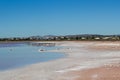 Salty lake coast landscape in shiny day Royalty Free Stock Photo