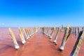 The salty lake with pink water and the beach from salt. Old logs pier on Lake Sasyk in the Crimea Royalty Free Stock Photo