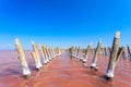 The salty lake with pink water and the beach from salt. Old logs pier on Lake Sasyk in the Crimea Royalty Free Stock Photo