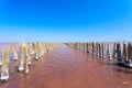 The salty lake with pink water and the beach from salt. Old logs pier on Lake Sasyk in the Crimea Royalty Free Stock Photo