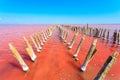 The salty lake with pink water and the beach from salt. Old logs pier on Lake Sasyk in the Crimea Royalty Free Stock Photo