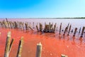 The salty lake with pink water and the beach from salt. Old logs pier on Lake Sasyk in the Crimea Royalty Free Stock Photo