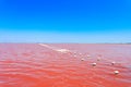 The salty lake with pink water and the beach from salt. Old logs pier on Lake Sasyk in the Crimea Royalty Free Stock Photo