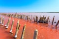 The salty lake with pink water and the beach from salt. Old logs pier on Lake Sasyk in the Crimea Royalty Free Stock Photo