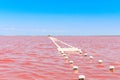 The salty lake with pink water and the beach from salt. Old logs pier on Lake Sasyk in the Crimea Royalty Free Stock Photo