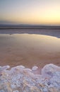 Salty puddle from Chott el Djerid, Tunisia