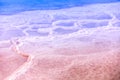 The salty shore of the Dead Sea. Abstract nature background