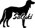 Saluki silhouette real word