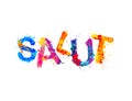 Salut. Hello in french. Vector splash paint word