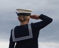 The Salute Royalty Free Stock Photo