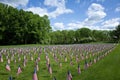 Saluting Our Veterans Royalty Free Stock Photo