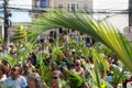 Hundreds of Catholic faithful are seen during the open-air Mass on Palm Sunday