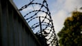 Concertina barbed wire hedgehog Royalty Free Stock Photo