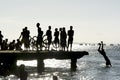 Silhouette of young people jumping from the Crush bridge at the yellow sunset on Ribeira beach in Salvador (BA Royalty Free Stock Photo