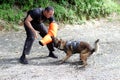 dog training for police work