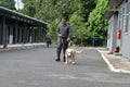 dog training for police work