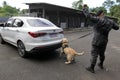 dog training for police work