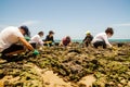 Volunteers remove black oil from the Rio Vermelho beach spilled by a ship in the Brazilian sea