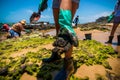 Volunteers remove black oil from the Rio Vermelho beach spilled by a ship in the Brazilian sea