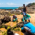 Volunteers remove black oil from the Rio Vermelho beach spilled by a ship in the Brazilian sea