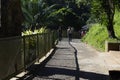 Getulio Vargas Zoobotanico Park, or Salvador Zoo, is a zoo located in Salvador, capital of the state of Bahia