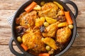 Salvadoran chicken stew with chicha, prunes, carrots, potatoes, olives and onions close-up in a frying pan. Horizontal top view Royalty Free Stock Photo