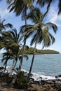 The salvation islands, french Guyana