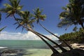 The salvation islands, french Guyana