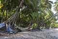 The salvation islands, french Guyana