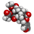 Salvinorin A entheogen molecule. Psychotropic molecule from Salvia divinorum. Royalty Free Stock Photo