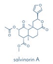 Salvinorin A entheogen molecule. Psychotropic molecule from Salvia divinorum. Skeletal formula. Royalty Free Stock Photo