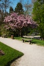 Salzburg Mirabellgarten, beautiful day, a park bench