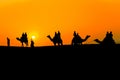 Sam Desert, Jaisalmer, Rajasthan, India Royalty Free Stock Photo