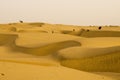 Sam Desert, Jaisalmer, Rajasthan, India Royalty Free Stock Photo