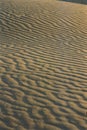 Sam sand dunes, Jaisalmer, Rajasthan, India Royalty Free Stock Photo
