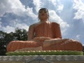 The Samadhi Buddha Statue at Hidellana