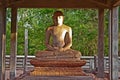 Samadhi Buddha statue at MahamevnÃÂwa Park in Anuradhapura