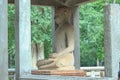 Samadhi Buddha Statue in Sri Lanka