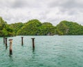 Samana luxury boat and pelicans nest