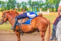 Samara, August 2018: a Cossack girl lying on a horse above