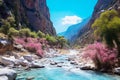 The Samaria Gorge in Crete greek landscape background