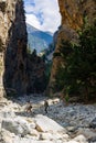 SAMARIA GORGE, CRETE - 20 JULY 2021: Hikers in the spectacular mountain and forest scenery of the Samaria Gorge on the Greek Royalty Free Stock Photo