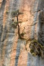 Samaria Gorge national park. Greece, Crete, White Mountains Royalty Free Stock Photo