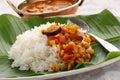 Sambar and rice, south indian cuisine Royalty Free Stock Photo