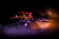 Sambava Tomato Frog portrait in nature Royalty Free Stock Photo