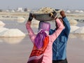 Indian workers putting basin with salt on head of woman on Sambhar Salt Lake. Rajasthan. India