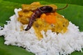 Sambhar Rice Royalty Free Stock Photo