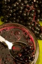 Sambucus nigra jam Royalty Free Stock Photo